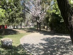 -南开大学(八里台校区)