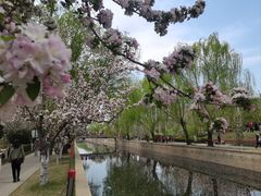 -元大都城垣遗址公园