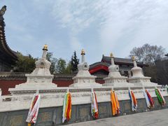 -西安市广仁寺