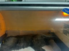 -皮特动物医院(24小时店)