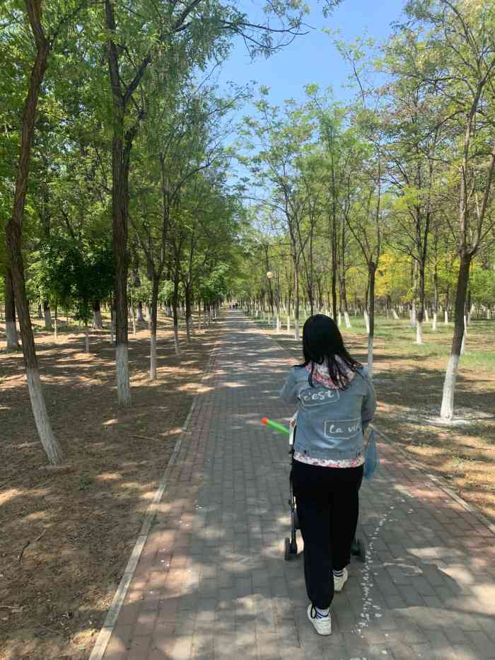 森鑫森林公园-"很美的公园,周休二日都要玩玩玩,这个公园.