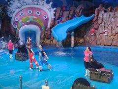 -烟台海昌鲸鲨海洋公园