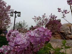 -西海子公园