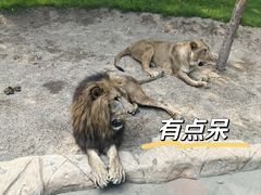 -北京野生动物园