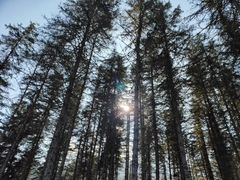 -硗碛藏寨·神木垒景区