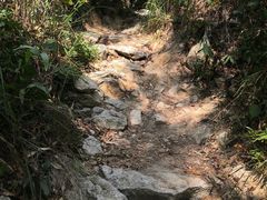 -火炉山森林公园