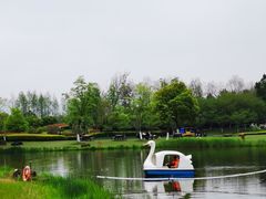 -径山花海