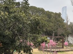 -金鸡湖桃花岛