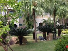 -三亚亚龙湾凯莱仙人掌度假酒店