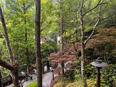 -天明山温泉大酒店