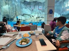 -帝企鹅自助餐厅•儿童岛•真企鹅(长隆企鹅酒店)