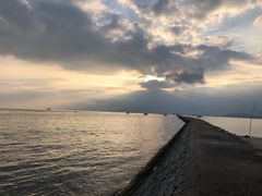 -广东惠东海龟国家级自然保护区