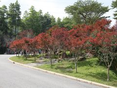 -广州市帽峰山景区