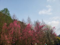 -贵阳市花溪国家城市湿地公园