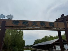 -白洋淀景区