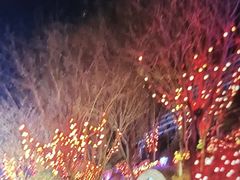 -南宫五洲植物乐园