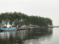 -白洋淀景区
