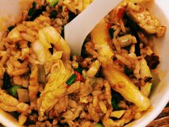 -杨姨妈丝娃娃(花果园店)