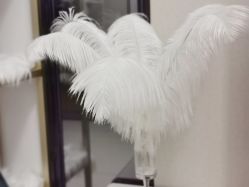 -L•野生眉半永久纹眉纹绣