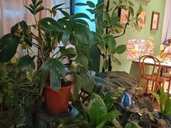 -Thai Basil罗勒叶泰式餐厅(时代天街店)