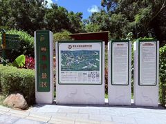 -野象谷景区