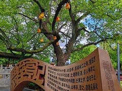 -安亭老街