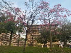 -广东工业大学(大学城校区)