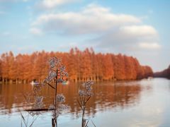 -上海海湾国家森林公园