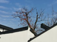 -北寺塔