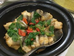 煲仔豆腐鱼-海港酒楼·平价海鲜·茶点(小公园店)