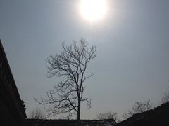 -绝味鸭脖(碧凤坊二店)