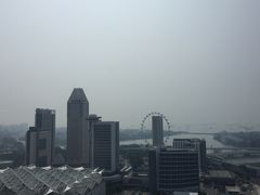 -新加坡瑞士史丹福酒店