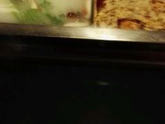 -陈阿婆重庆绿色鱼火锅