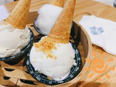 椰子-歎雪糕低糖低脂Gelato冰淇淋