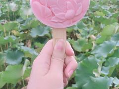 -荷塘月色湿地公园·向阳花洲