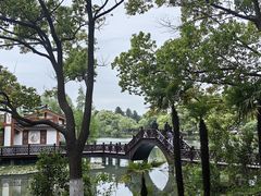 -尚湖风景区