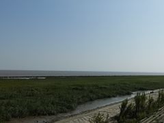 -南汇嘴观海公园