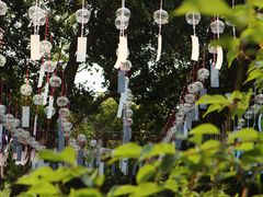 -无锡梅园公园