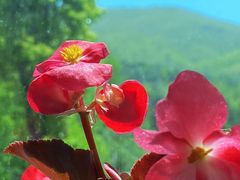 -山菜馆(竹海公园店)