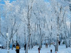 -中旅松花湖滑雪场