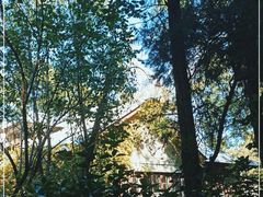 -北京大学燕东园