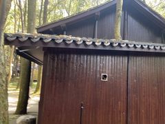 -富春桃源风景区