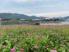 -新安江山水画廊风景区