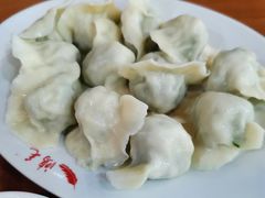 鸿毛家常饺-鸿毛饺子(紫竹桥店)