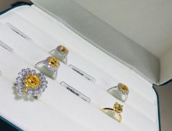 -VE DIAMOND·天然&培育钻石定制