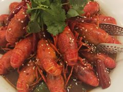火爆麻辣小龙虾-悦融琥珀·京鲁菜·海味珍品(西单店)