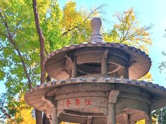 -玲珑塔公园