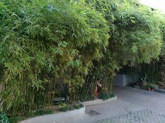 -老洋房花园饭店(绍兴路店)