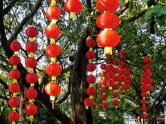 -荔湾湖公园