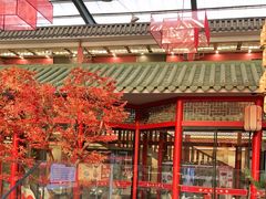 -老山东·山东菜(鲁菜名店)